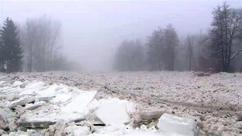 nahromaděné odpadní pneumatiky u lesa