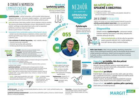 Infografika: Funkce výfukového systému a role těsnicí šňůry