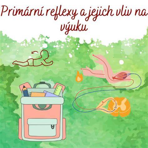 Infografika: Přehled typů řazení a jejich vliv na komfort