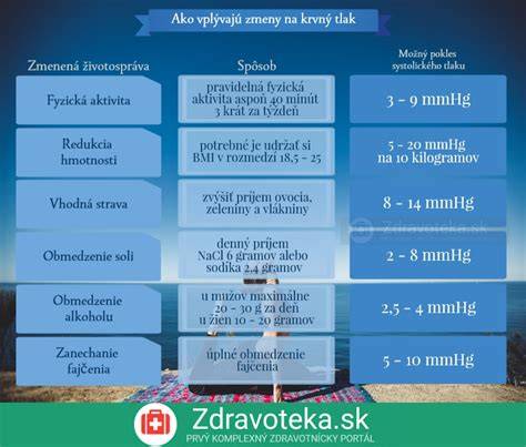 Infografika: rozsah služeb autopůjčoven a flotila
