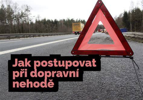 Infografika: Jak postupovat při srážce se zvěří a kontakty na policii a myslivecké sdružení