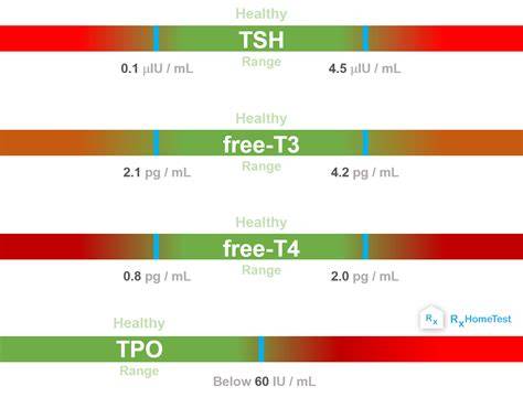 Infografika: Parametry T4 Low Profile a T4F