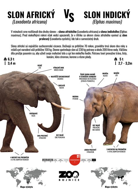 Infografika: Rozdíly mezi ověřením činnosti brzdy a zkouškou brzdy