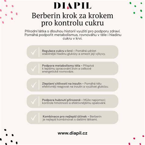 Infografika: krok za krokem výměny brzdového válečku