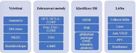 Infografika znázorňující typy servisních služeb a postupy diagnostiky