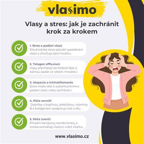 Informační infografika: Sestavení výplně dveří krok za krokem