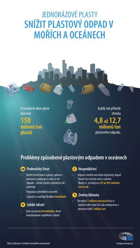Infografika: Jak funguje plastový podběh a proč jej měnit