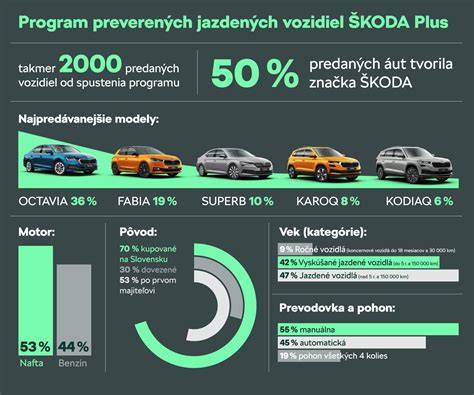 Infografika: Důležité kroky dovozu auta
