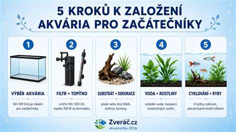 Infografika: 5 kroků k správnému výběru autorizovaného servisu Opel