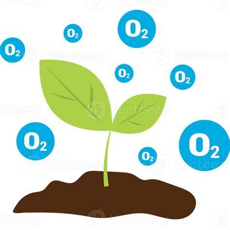 https://example.com/images/w68-3-oxygen-illustration.png