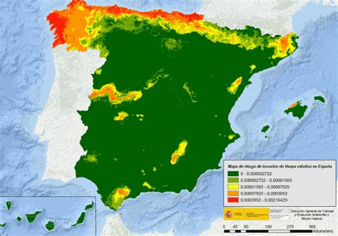 Mapa rozšíření Vespa velutina nigrithorax v České republice (predikční model)