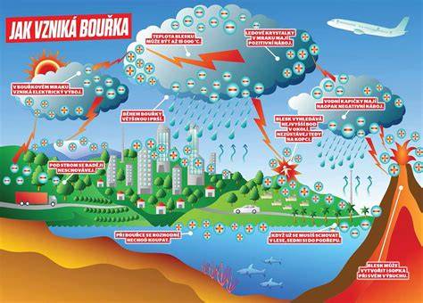 Infografika: Jak vzniká znalecký posudek a jeho časová osa