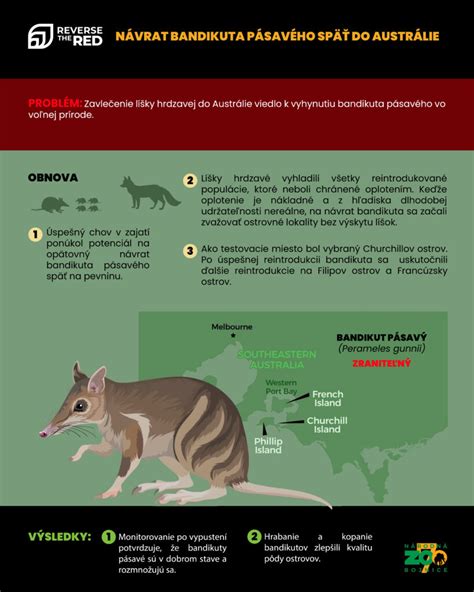 Infografika: Rozdělení střelných poranění a typické rány