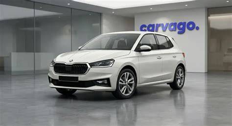 Kompletní nabídka doplňků pro Škoda Fabia - přehled