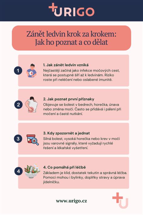 Infografika: Jak poznat typ chladiva podle koncovek na naplňování