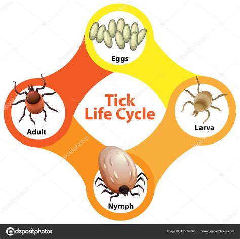 Ilustrace znázorňující přehled různých typů vad u ojetých vozů.