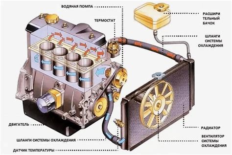 Image: Diagram umístění termostatu v chladicím systému