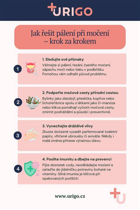 Infografika kroku za krokem řešení