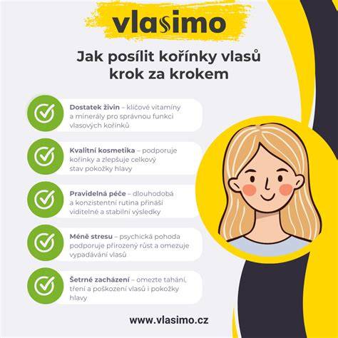Infografika: jak rozmrazit ostřikovače krok za krokem
