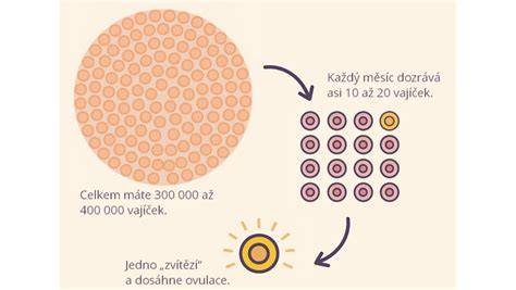Ilustrace programu zpětného odběru a darování