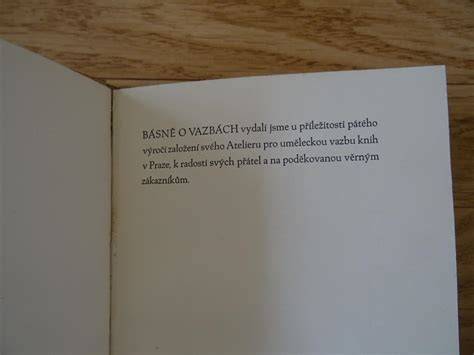 Vyhledání informací o dovoláních a vazbách