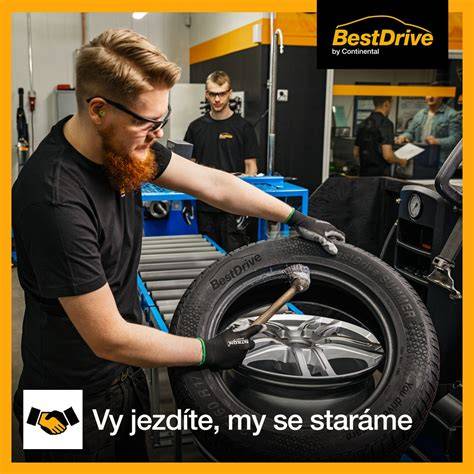 Infografika ukazujícíš služby autoservisu: pneuservis, výměna skel, elektrické práce, lakování a náhradní díly