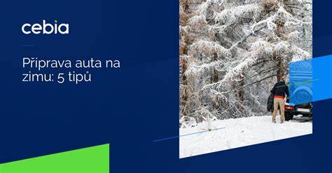 Infografika: Postup přípravy auta na zimu