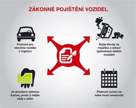graf pojištění auta a spoluúčasti