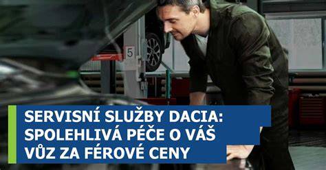 Infografika - Péče o vůz a servisní cykly