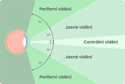 Infografika: Jak alkohol ovlivňuje reakční čas a zorné pole