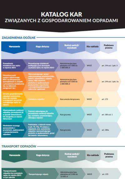 infografika MagnaFlow katalog dostupnosti