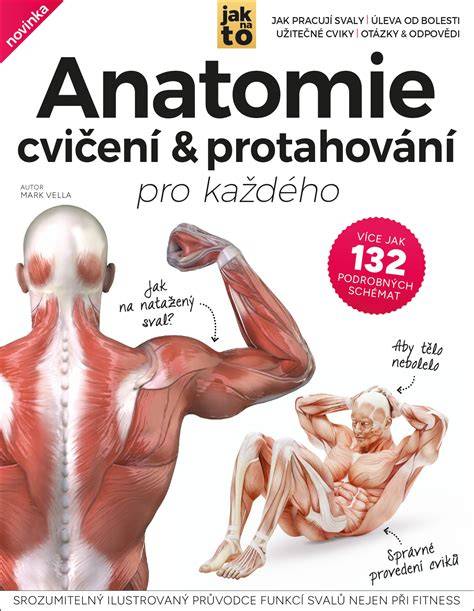 Infografika: Anatomie brzdového třmenu a jeho funkcí