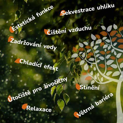 Infografika: Přehled možných překrytí a jejich estetické i ochranné funkce