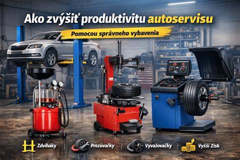infografika_služby_autoservisu.png