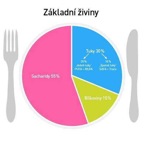 Infografika znázorňující základní součásti výfuku a jejich funkce
