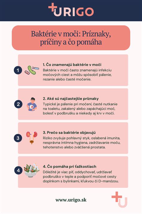 Infografika: Postup prelakování kapoty krok za krokem