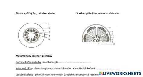 Schéma dvouhmotového setrvačníku s vyznačením primární a sekundární části a tlumičů