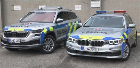 obrázek_srovnání_policejních_škodek.jpg
