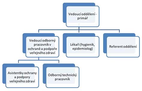 Infografika: Struktura oddělení a diagnostických programů v nemocnici