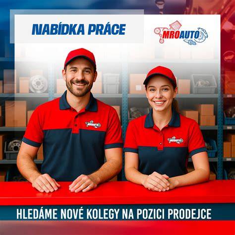 Infografika: Jak objednat náhradní díly na Mroauto.cz a proces doručení do Zásilkovny/PPL ParcelShopu