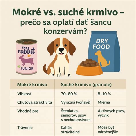 Fotodokumentace postupu mokrého tryskání vs. suchého tryskání