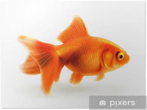 Fotorealistické ilustrace k němým frázím