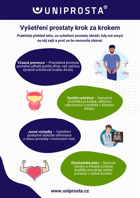 Infografika: Jak probíhá STK krok za krokem