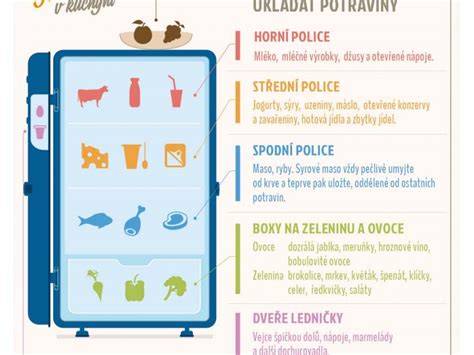 Infografika: Jak správně připoutat kočku do auta a rozměry postroje