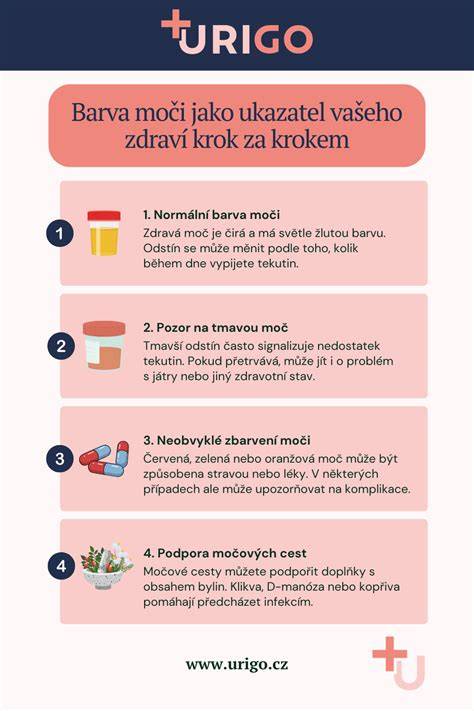 Infografika: krok za krokem výměny oleje