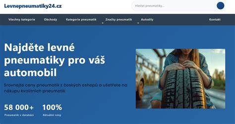 Infografika: Jak vybrat leve pneumatiky 11.00-20 pro nákladní vozy