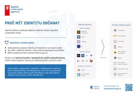 Infografika: Přehled instalatérských služeb a postupů