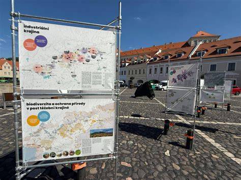 komplexní obraz o doručovacích službách a zásilkách