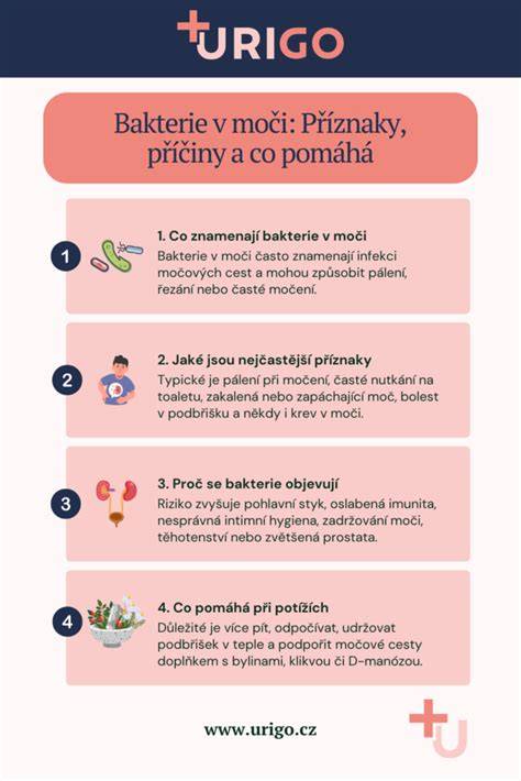 Infografika: Postup demontáže mlhovky krok za krokem