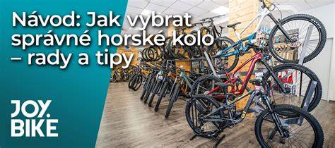 Infografika: Jak vybrat správné 16
